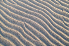 �T�C���{�[�h