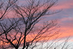 �z�̓�����H��