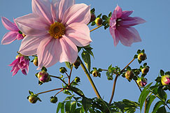 �����m��ʉ�