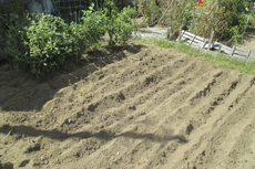 �p�e�B�I�ʐM_��