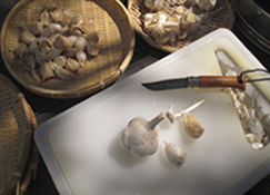 �p�e�B�I�ʐM_�A���t��