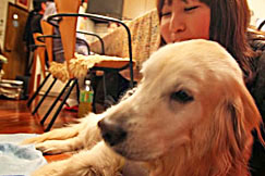 �����m��ʉ�