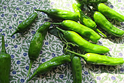 �����Ƃ�