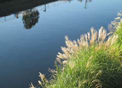 �p�e�B�I�ʐM_�E�H�[�L���O