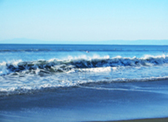 �p�e�B�I�ʐM_�C